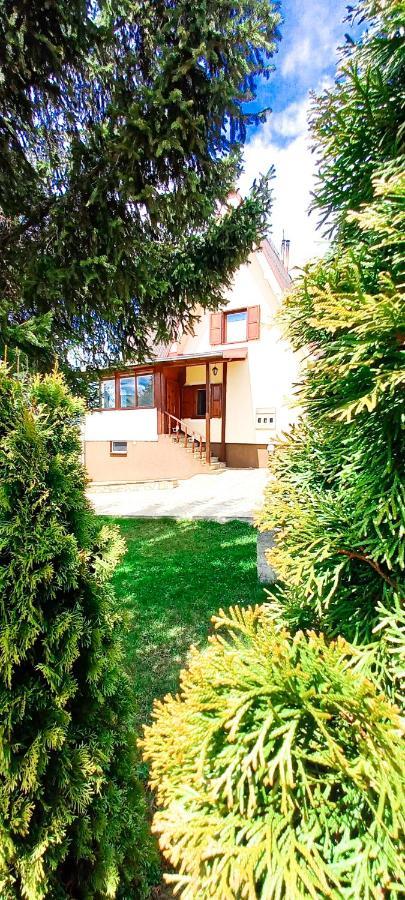 Apartment Relja Zlatibor Eksteriør billede